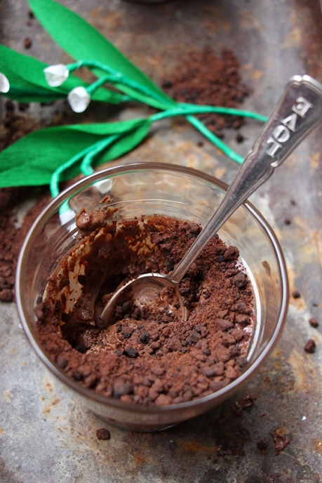 Pot de mousse au chocolat fève tonka, gingembre confit et terreau à la  vanille. – Devorezmoi